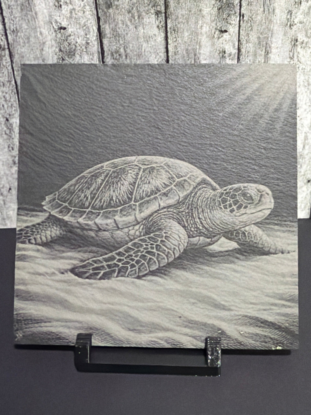 Sea Turtle Engraved Slate Coasters Item # 04444320