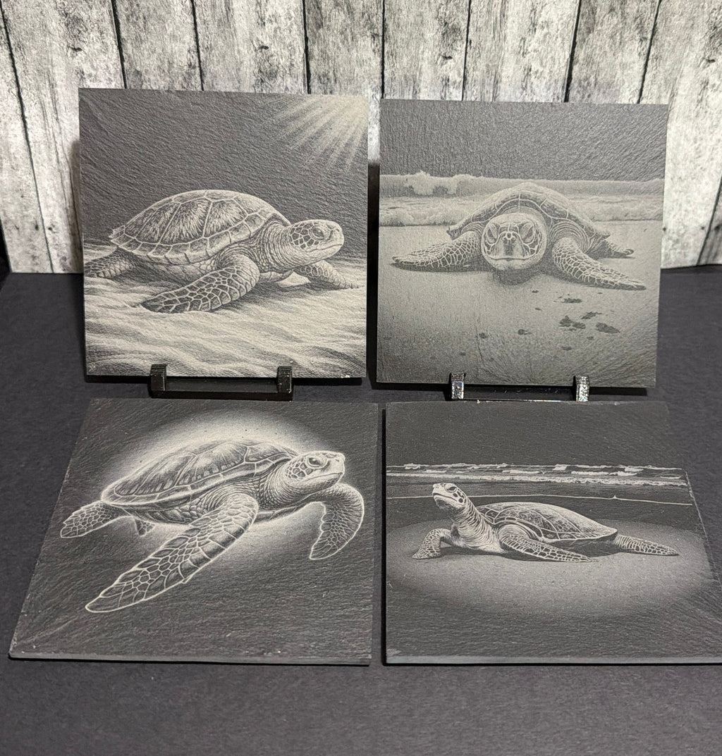 Sea Turtle Engraved Slate Coasters Item # 04444320