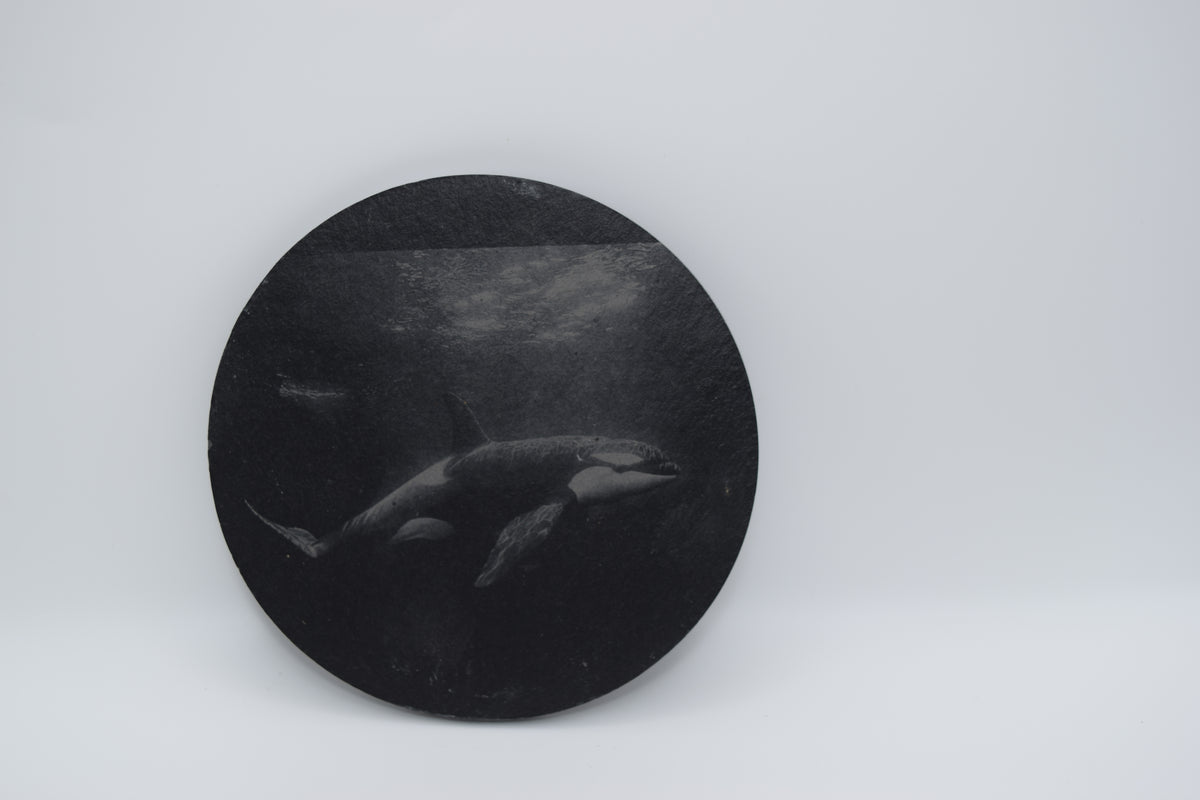 ORKA THEMED SLATE COASTERS